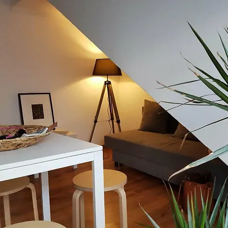 Vds Cosy In Center Apartament